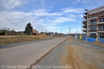 Immobilie in 53844 Troidorf - Bild 2