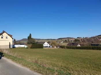 Immobilie in Büdesheim